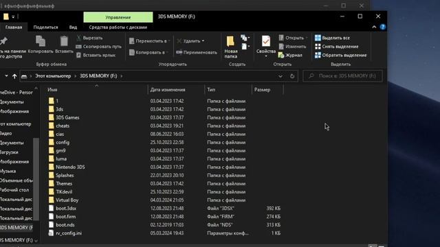 ЖИВЕМ! // Pretendo — НОВЫЙ ОНЛАЙН для Nintendo 3DS [Инструкция] и первое впечатление