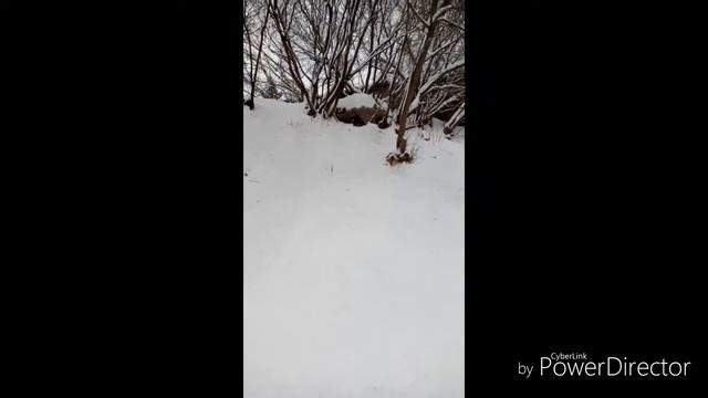 Коротко о том как я катаюсь на ВАТРУШКЕ(2) смотреть онлайн