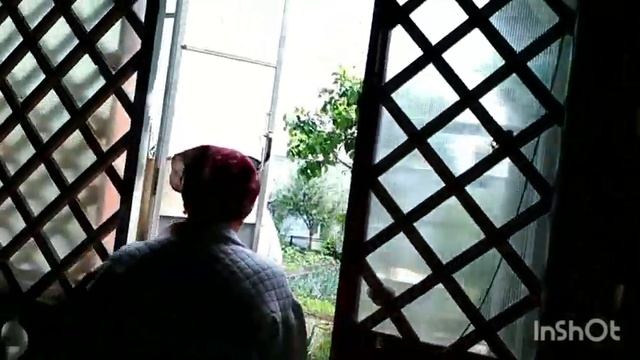 Рубрика "В гостях у огородников".В гостях у Нины. смотреть онлайн