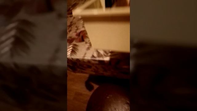 приготовили яичницу с картошкой в соусе смотреть онлайн