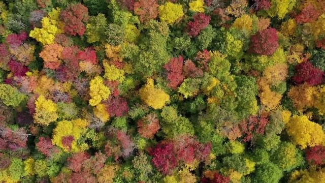 СРОЧНО! УГРОЗЫ ВЫРЕЗАТЬ МОЮ СЕМЬЮ. ОЛЬГА УРАЛОЧКА LIVE. смотреть онлайн