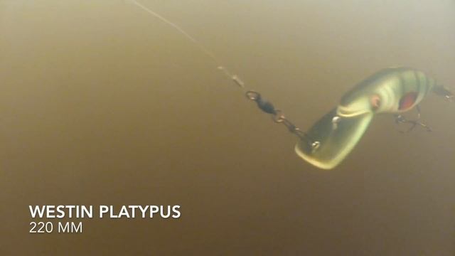 Westin Platypus 220 mm смотреть онлайн