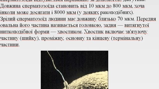 Lecture 5 Part 11 смотреть онлайн