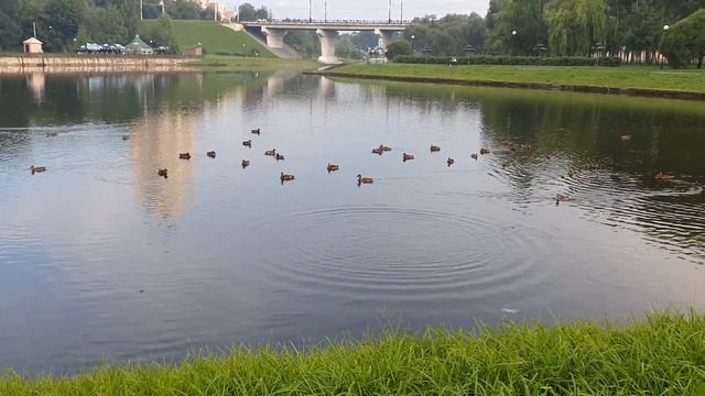 Новый день / Лена LIFE / Показала свою суть! 