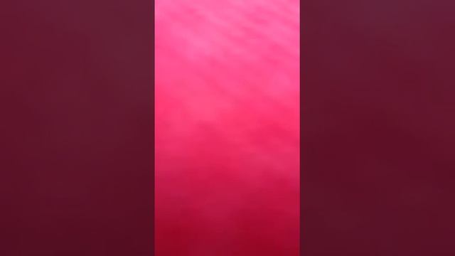 I don't care if you see me dancing смотреть онлайн