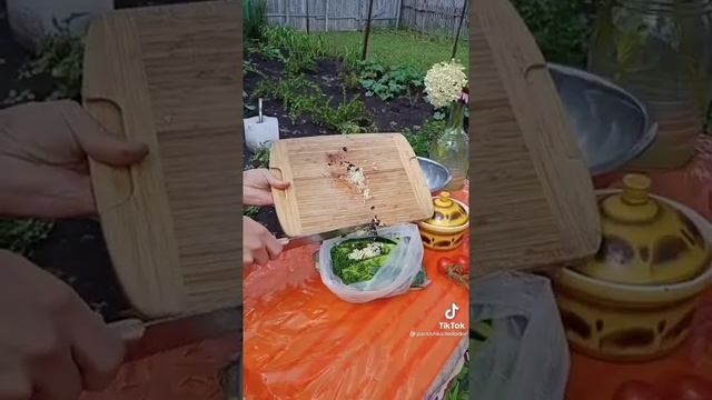 Самые вкусные малосольные огурцы. Секретный рецепт моей бабушки #shorts смотреть онлайн