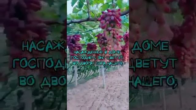 это наша жизнь.(3) смотреть онлайн