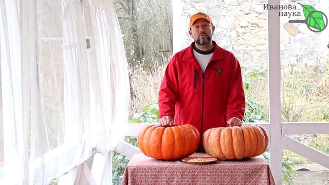 ВЕРНИТЕ КАЛЬЦИЙ В КОСТИ! Спина не горбится, ноги не болят: самый полезный продукт взрослых женщин. смотреть онлайн