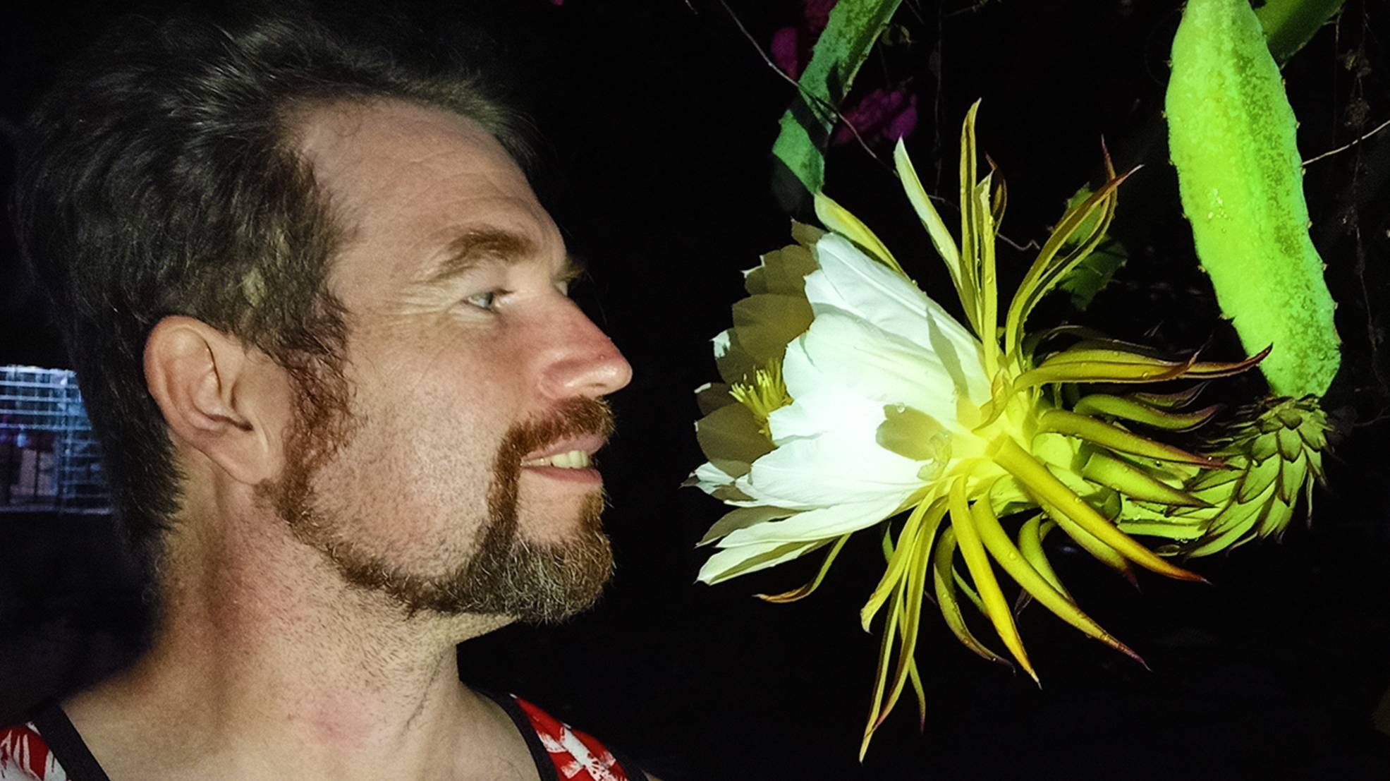 СЮРПРИЗЫ ЖИЗНИ НА ФИЛИППИНАХ / ЖИЗНЬ НА ОСТРОВЕ смотреть онлайн