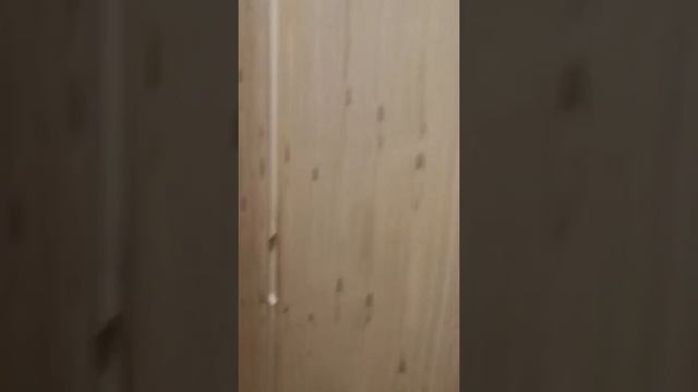 Larissa Vista HOTEL 4. Номер. Турция. Кемер смотреть онлайн