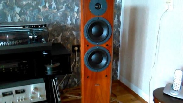 Dynaudio focus 220