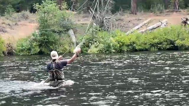 Fly Fishing on the Metolius River | Camping | Deschutes National Forest смотреть онлайн