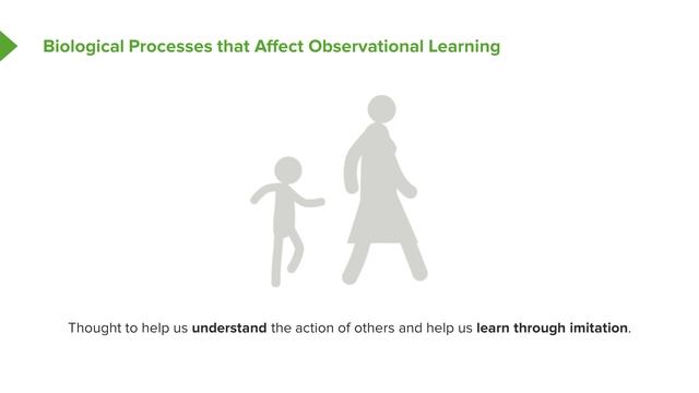 03. Observational Learning (PSY)