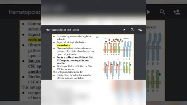 Beta chain bearing/GM-CSF and gp130 hematopoietin receptor subfamily.(hindi) смотреть онлайн