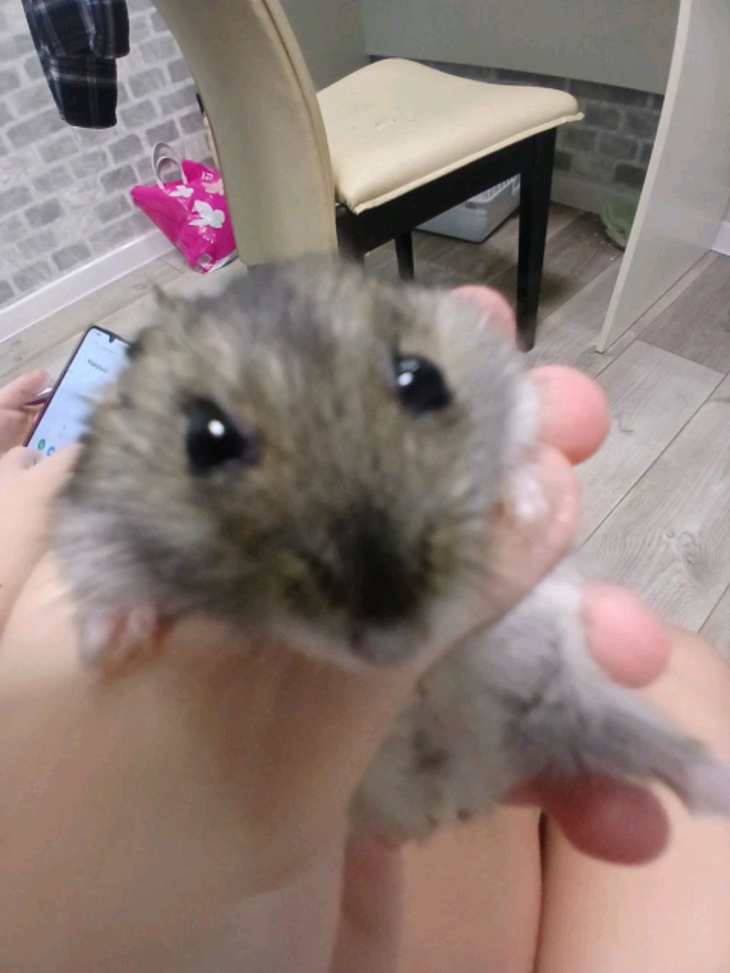 ПРОСТО🤗🤗 смотреть онлайн