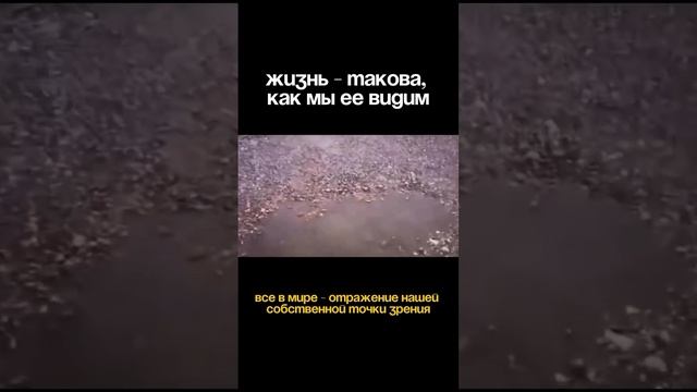 Это круто изменит твою жизнь, прочти 👇
Забери подарок в описании смотреть онлайн