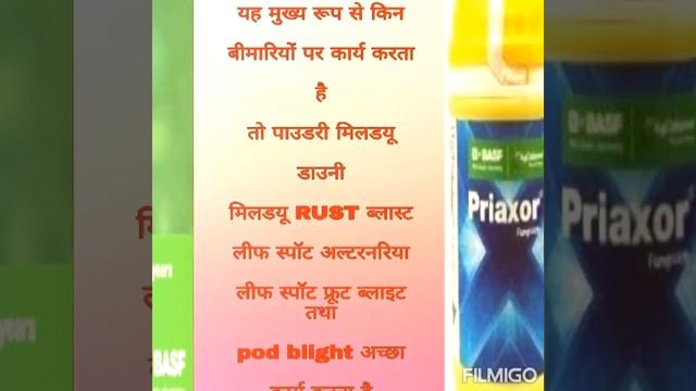 BASF PRIAXOR FUNGICIDE ALL INFORMATIONS ll फसल को फफूंद से बचाने के लिए एक बेहतरीन फफूंद नाशक दवा l смотреть онлайн