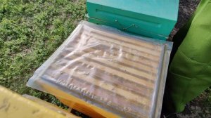 Когда ставить вторые корпуса весной?