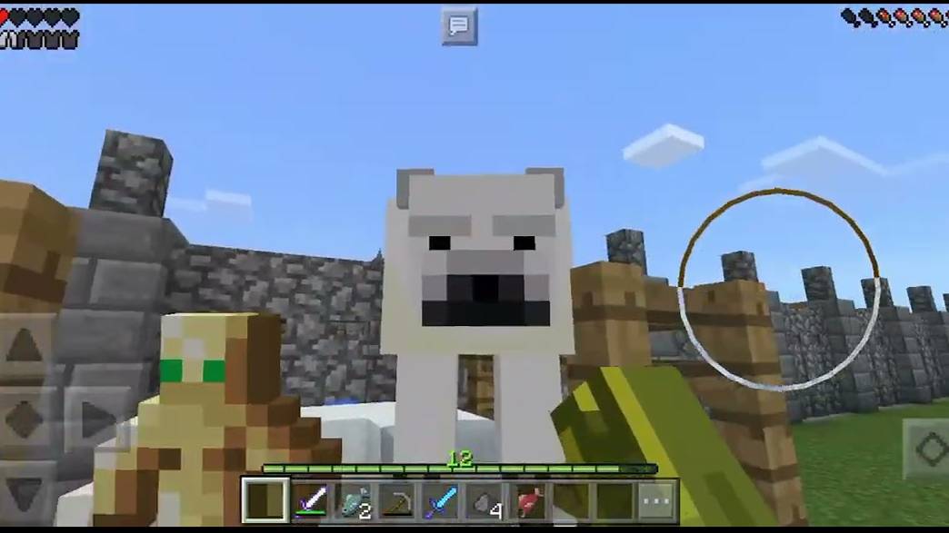 Интересные факты о белых медведях из Майна