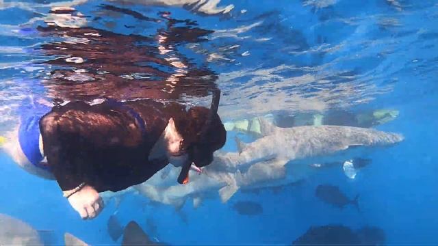 19 января 2020 г. смотреть онлайн