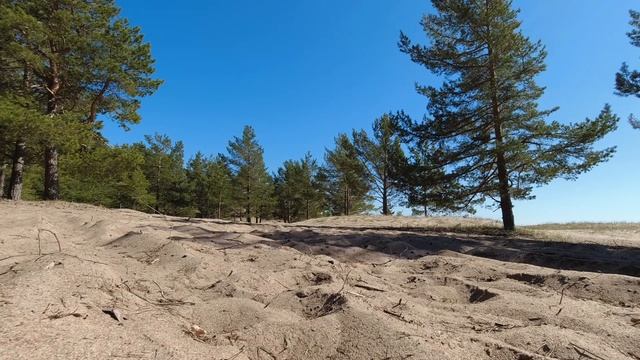 Jimny в песках смотреть онлайн