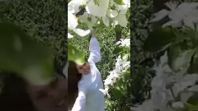 Бог благ.(2) смотреть онлайн