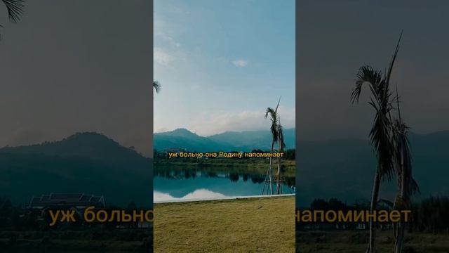 Как тайца научить готовить сырники смотреть онлайн