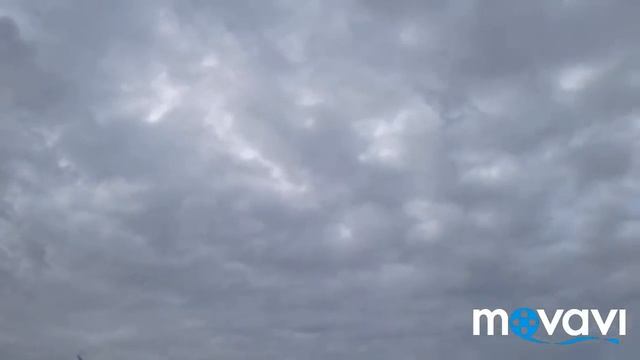 Посеяла морковь...очередная по балтушка😂😂😂 смотреть онлайн