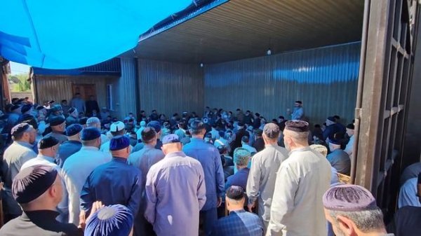 Таьзет у Албаковых