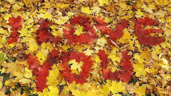 это я по тебе скучаю...