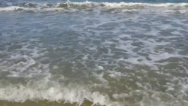 6_Мамба Черного Моря_Болгария_2018 смотреть онлайн