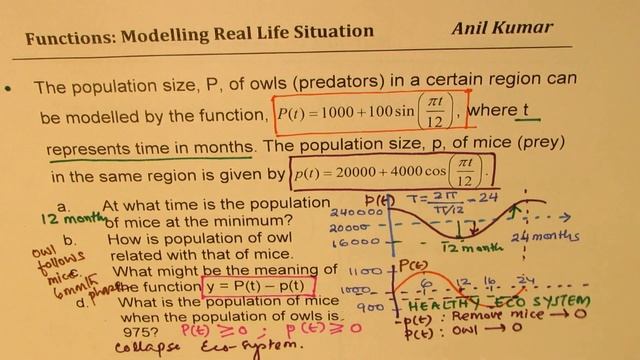 Model Real Life Situations Application n Thinking Review IB AP Maths MHF4U Algebra 2 смотреть онлайн