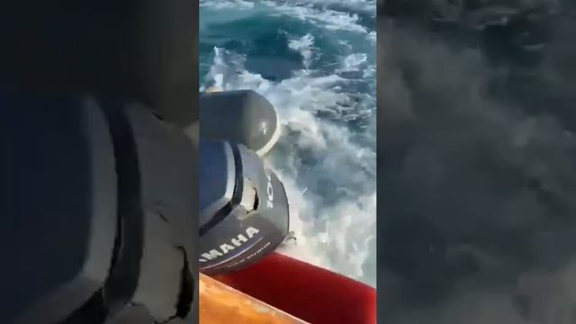 Случай на море ☝️😉✌️ смотреть онлайн