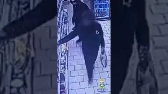 #shorts Участковый уполномоченный полиции в Тюмени задержал подозреваемого в краже смотреть онлайн