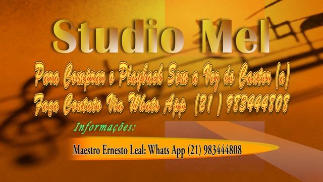 C1201 - Playback - Bem que se quis - Marisa Monte смотреть онлайн