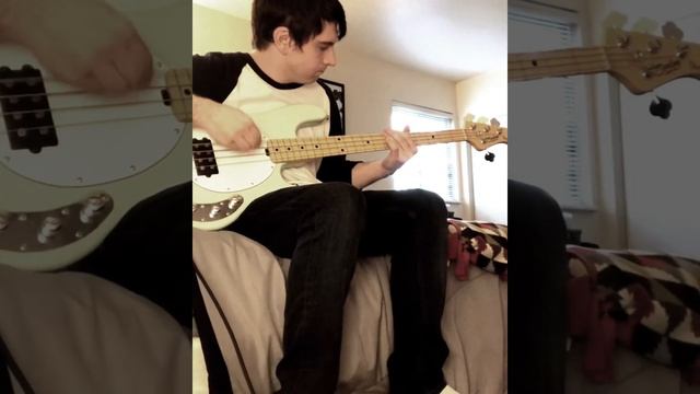 BLINK 182 - ADAMS SONG (BASS COVER) смотреть онлайн