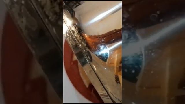 ابهري ضيوفك بأروع فلان🍮😋👌 смотреть онлайн