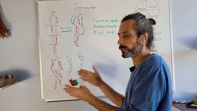 Остеохондроз и Структуральный фактор смотреть онлайн