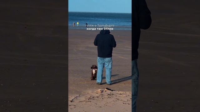 на канале про Шотландию 🏴󠁧󠁢󠁳󠁣󠁴󠁿 смотреть онлайн