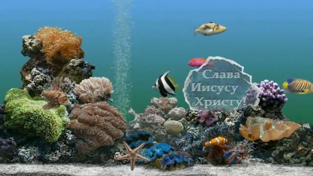 Иисус смотреть онлайн