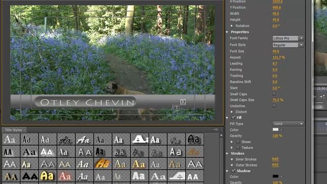 Using & Creating Title Templates смотреть онлайн