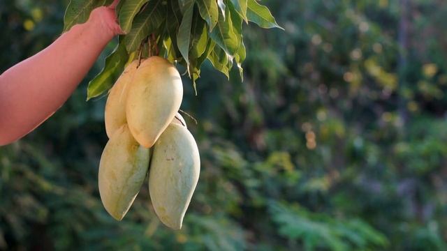 Alphabet Song |ABC Phonics Song With Two Words |ABC Lullaby #abcd #preschool #toddlers #abcsong