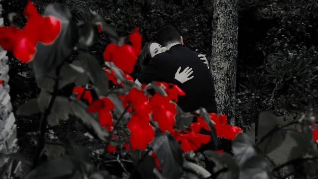 Calibre 50 - Te Volvería A Elegir смотреть онлайн