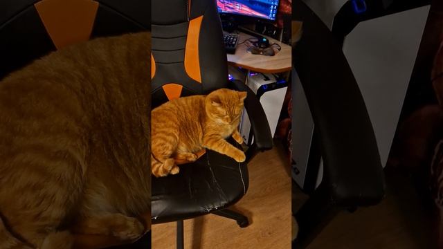 ИСТИННЫЙ ГЕЙМЕР смотреть онлайн