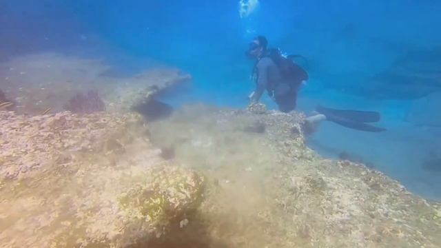 Mobula & Manta Rays | La Reina & Cerralvo Island смотреть онлайн