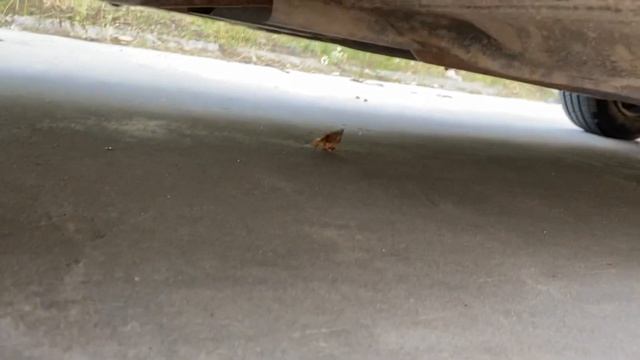 Nissan SUNNY 2014 bản đủ giá 130 triệu .Tư nhân 1 chủ từ mới đẹp căng 0354152888 смотреть онлайн