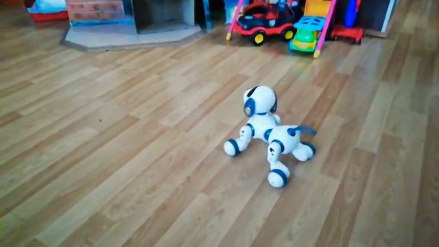 Не получилось включить гирлянду/Борщ на обед /Городские Поселковые 🏡 серия 77 смотреть онлайн