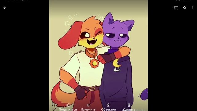 Кэт нап и дог дей