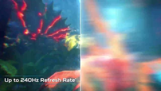 Predator XB3, Predator XN3