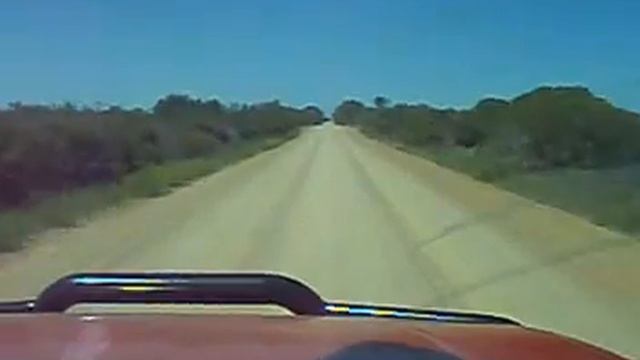 'Roj' the legendary pajero